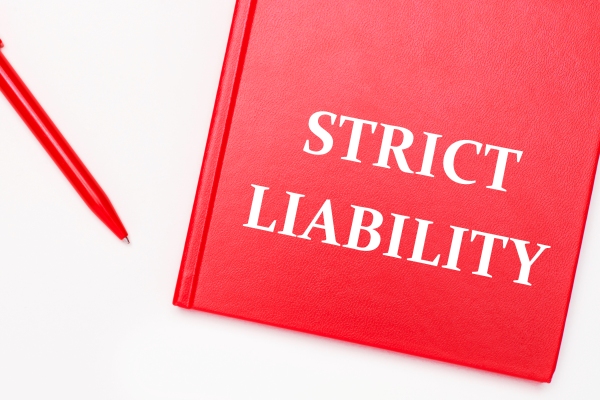 What Is Strict Liability? - The Lake Law Firm